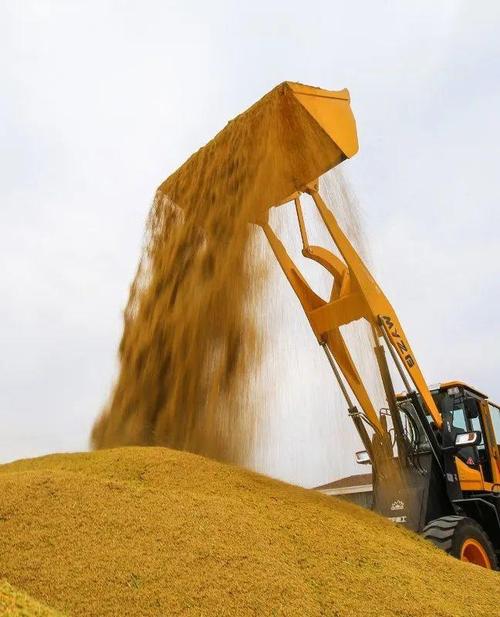 看"射阳大米"如何蹚出农业创新发展新路|水稻|稻谷|稻米|种植|粮食