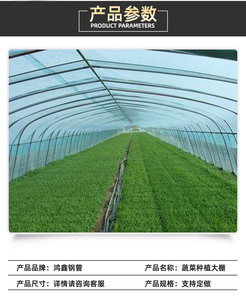 蔬菜瓜果种植大棚 阳光温室薄膜大棚 农业生态种植观光种植